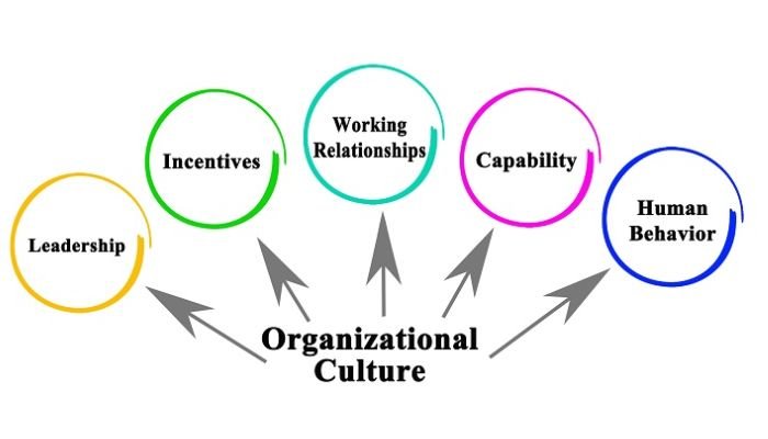 components of Organizational Culture
